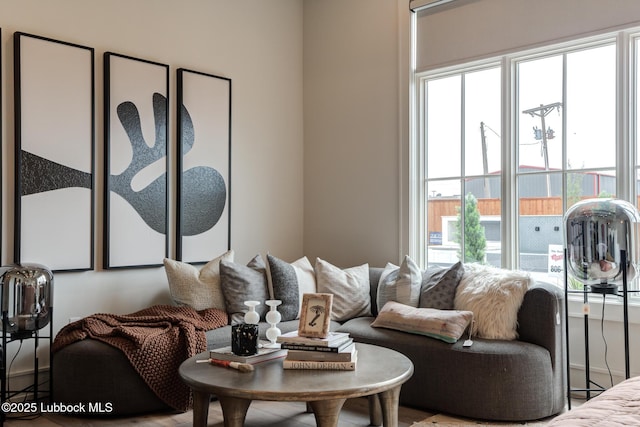 4510 Zadar Ave, Lubbock, TX 79407 - living area with healthy amount of natural light