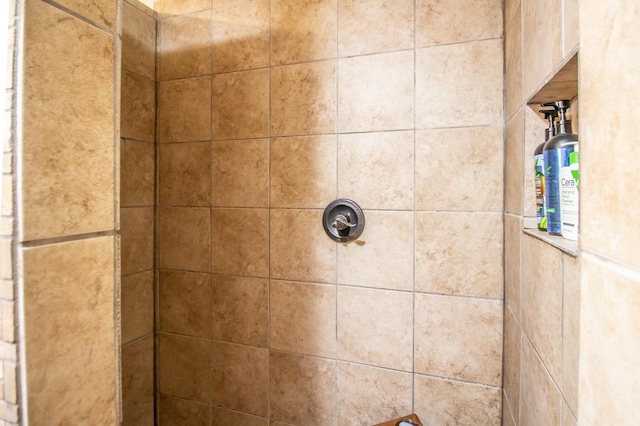 details with tiled shower