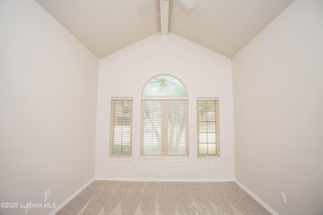 616 N 8th St, Wolfforth, TX 79382 - photo 27