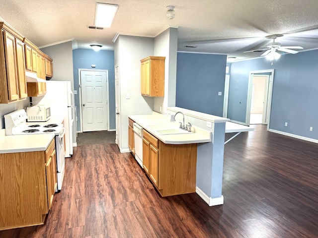 kitchen featuring sink, dark hardwood / wood-style flooring, ornamental molding, kitchen peninsula, and white appliances