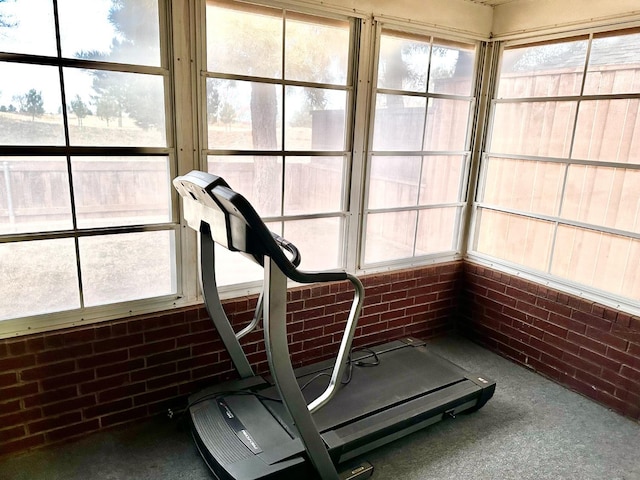 exercise room with plenty of natural light