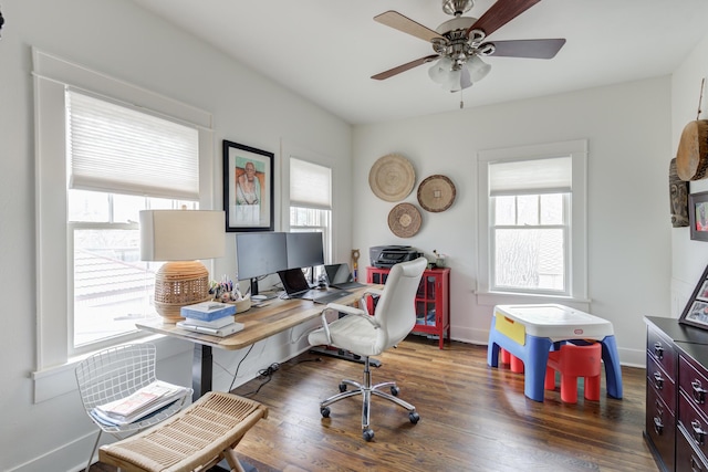 office with a wealth of natural light, dark wood-style flooring, baseboards, and a ceiling fan