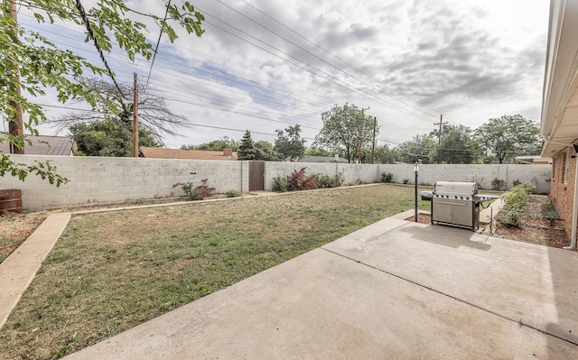 view of yard featuring a patio area