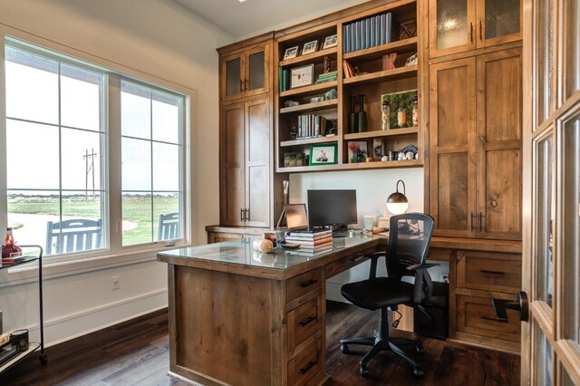 office area featuring dark hardwood / wood-style flooring