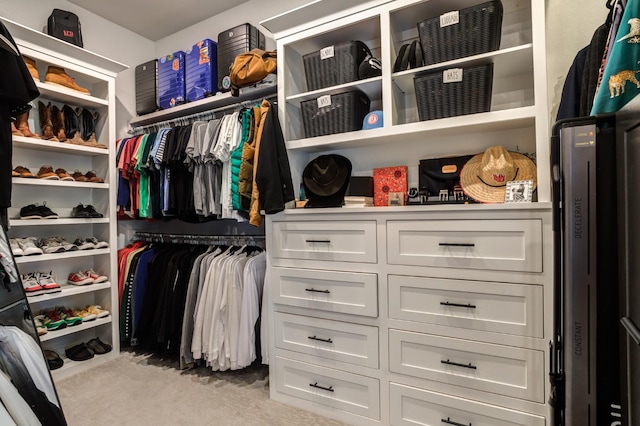 spacious closet with light colored carpet