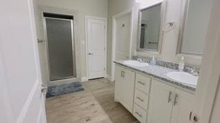 bathroom featuring vanity and a shower with door