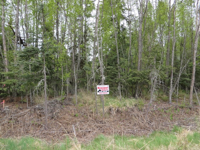 2710 Wildwood Dr, Kenai AK, 99611 land for sale