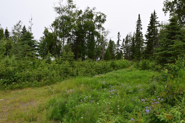 1618 Toyon Way, Kenai AK, 99611 land for sale