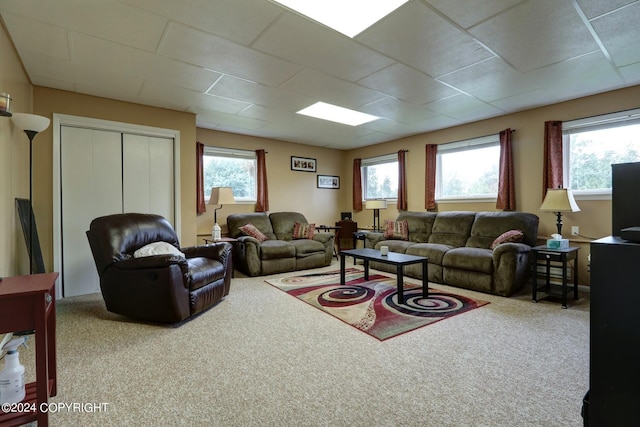 carpeted living room featuring a wealth of natural light