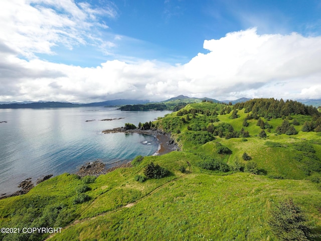 Listing photo 3 for 5976 Cliff Point Rd, Kodiak AK 99615