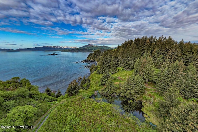 6186 Cliff Point Rd, Kodiak AK, 99615 land for sale