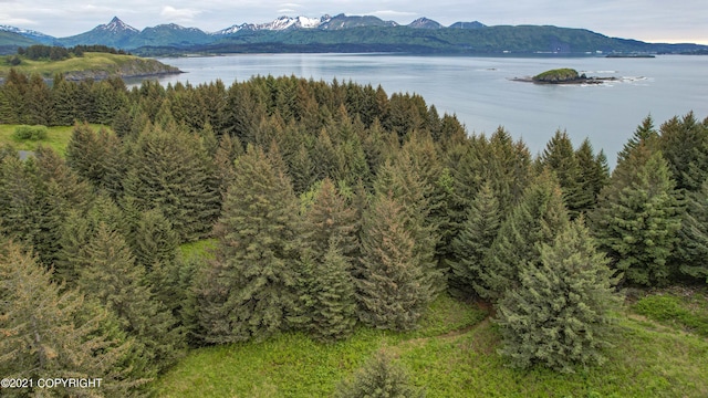 Listing photo 3 for 6186 Cliff Point Rd, Kodiak AK 99615