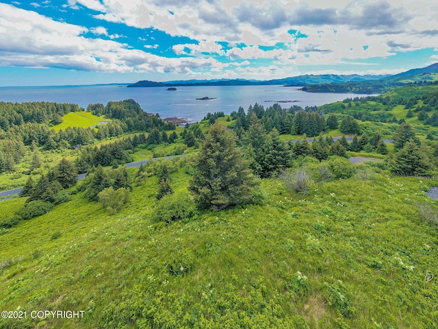 5979 Cliff Point Rd, Kodiak AK, 99615 land for sale