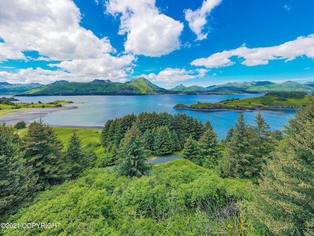 Listing photo 2 for 5979 Cliff Point Rd, Kodiak AK 99615