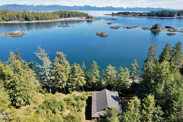 drone / aerial view featuring a water and mountain view