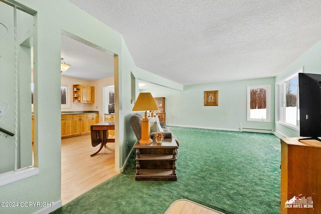 living room with baseboard heating, carpet, and a textured ceiling