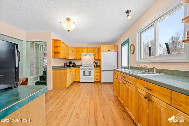 kitchen featuring light hardwood / wood-style floors, white appliances, a textured ceiling, and sink