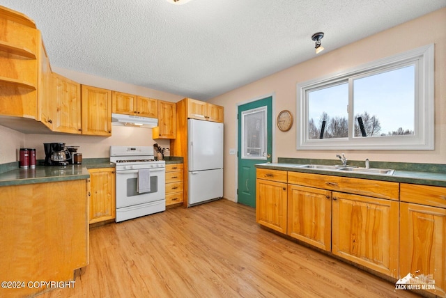 kitchen with white appliances, a textured ceiling, sink, and light wood-type flooring