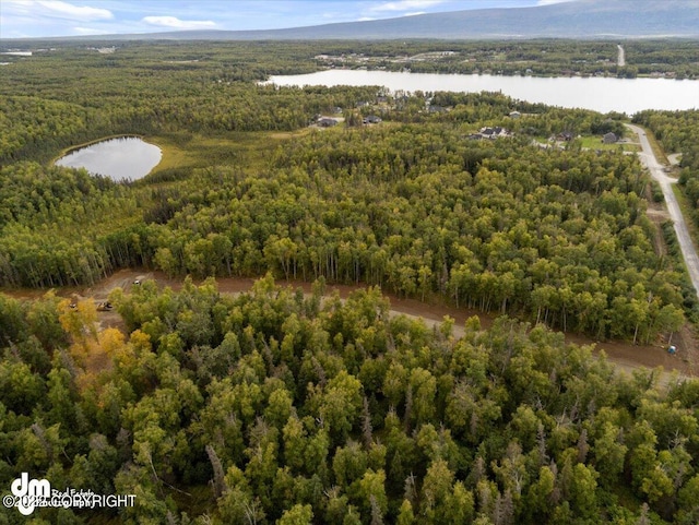 Listing photo 3 for TRC Lake Lucille Dr, Wasilla AK 99654