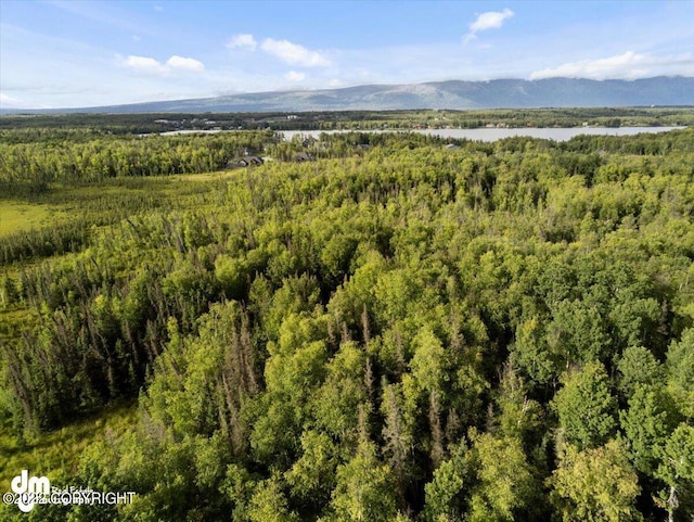 TRC Lake Lucille Dr, Wasilla AK, 99654 land for sale