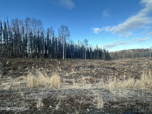 5203 Kelsi Lp, Wasilla, AK 99623