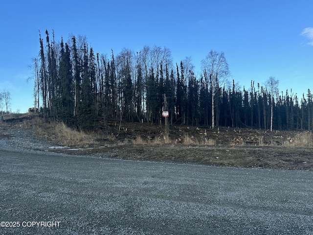 5203 Kelsi Lp, Wasilla, AK 99623