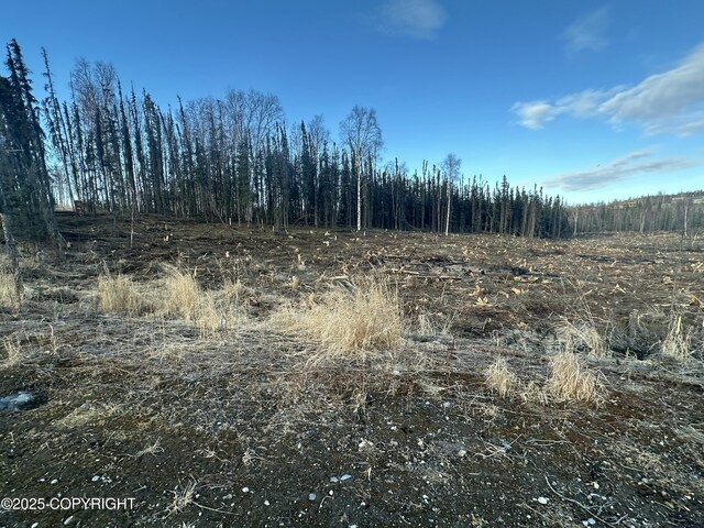 5203 Kelsi Lp, Wasilla, AK 99623