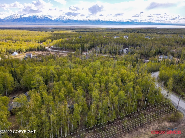 Listing photo 2 for 3749 S Pinnacle Peak Dr, Wasilla AK 99654