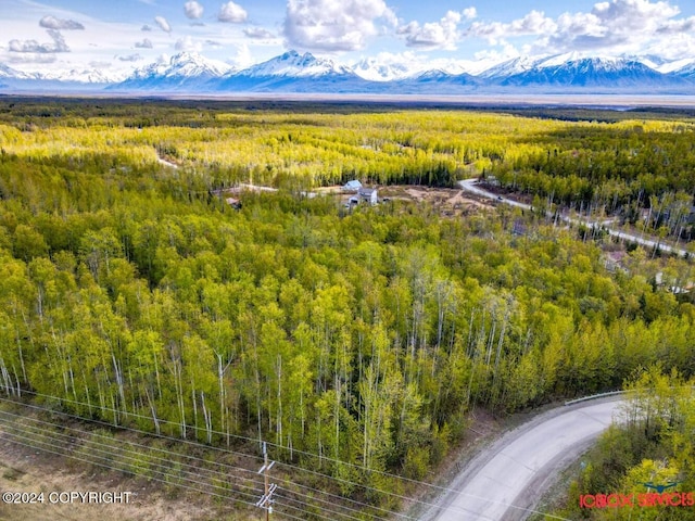 3749 S Pinnacle Peak Dr, Wasilla AK, 99654 land for sale