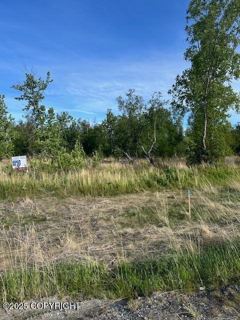 1383 N Cedar Hls Dr, Palmer, AK 99645