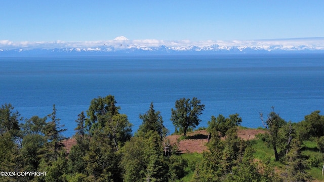 14185 Sterling Hwy, Ninilchik AK, 99639 land for sale