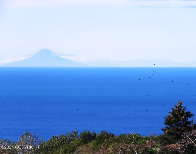 3255 Sterling Hwy, Homer, AK 99603 - photo 39
