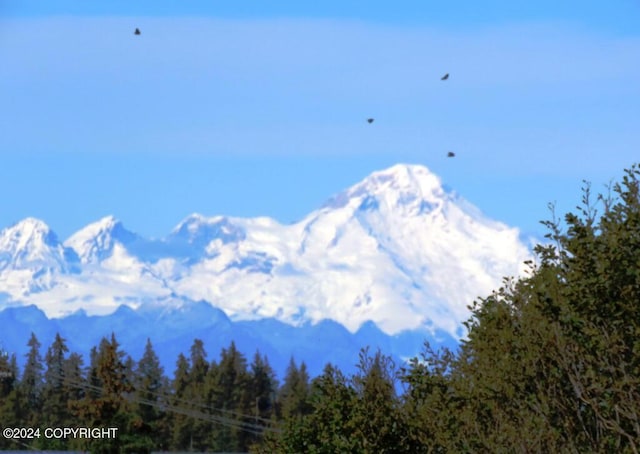 3255 Sterling Hwy, Homer, AK 99603 - photo 40