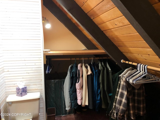 walk in closet featuring vaulted ceiling