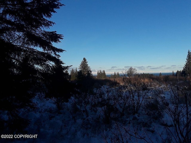 17285 Kimeluk St, Ninilchik AK, 99639 land for sale