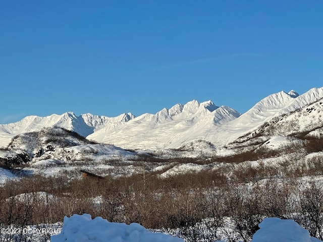 view of mountain feature