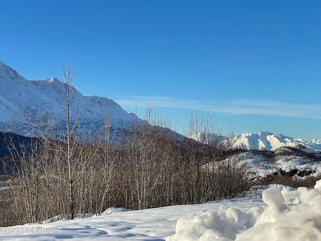 view of mountain view