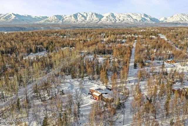 view of mountain feature