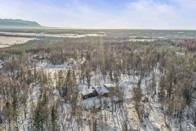 bird's eye view with a mountain view