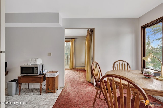 dining space with a wealth of natural light, light carpet, and a baseboard radiator