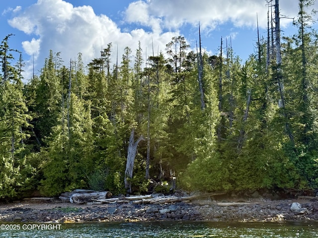 L8B2 Gravina Is, Ketchikan, AK 99901 - photo 1