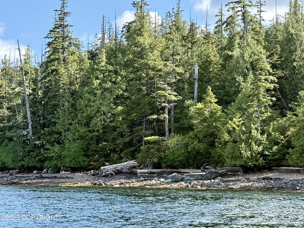 L8B2 Gravina Is, Ketchikan, AK 99901 - photo 2