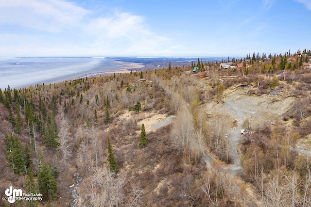 Listing photo 3 for 000 Bulgaria Dr, Anchorage AK 99516