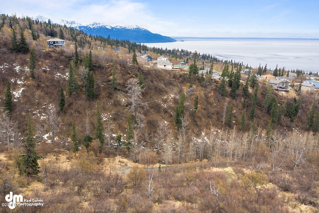 L23 Bulgaria Dr, Anchorage AK, 99516 land for sale