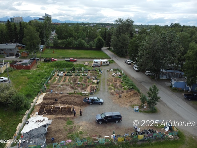 2930 Cheechako St, Anchorage, AK 99503 - photo 7