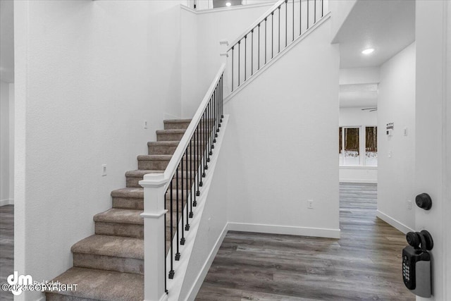 staircase with wood-type flooring