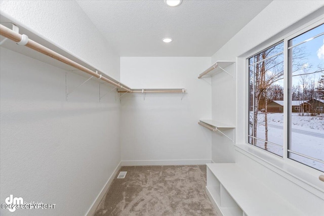 walk in closet with visible vents and carpet