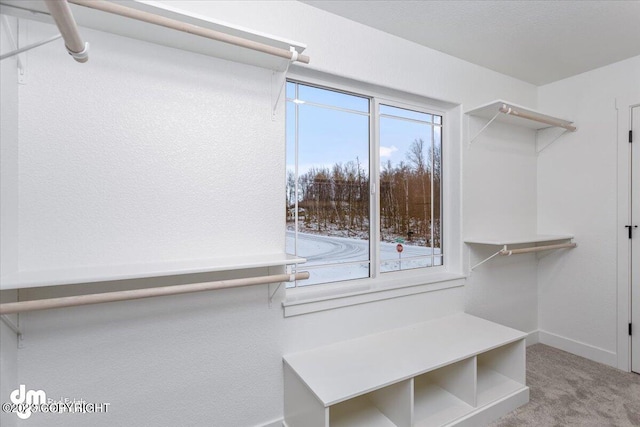 walk in closet featuring carpet flooring