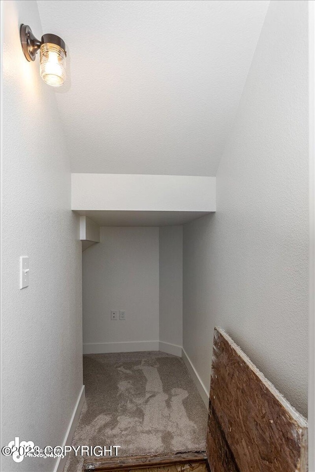 interior space with baseboards and carpet floors