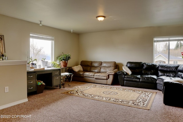 view of carpeted living room